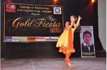 GoldFiesta_48